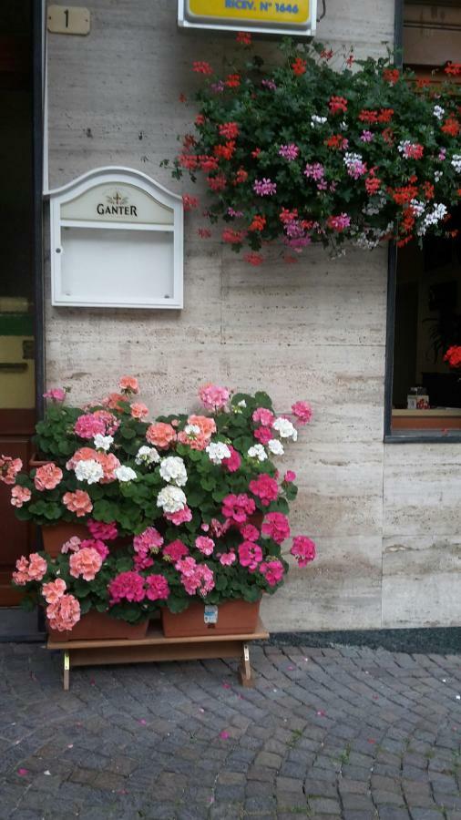 Albergo Ristorante Centro Vico Canavese Exteriér fotografie